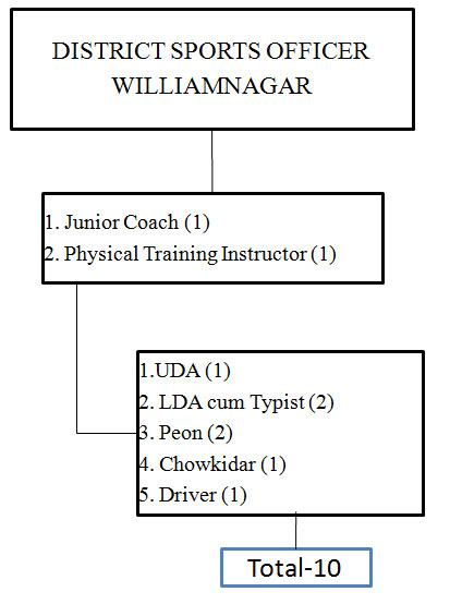 District Sports Officer, Williamnagar