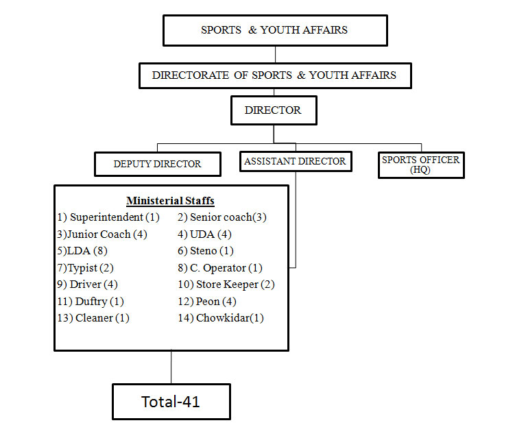 Directorate Organisational Chart